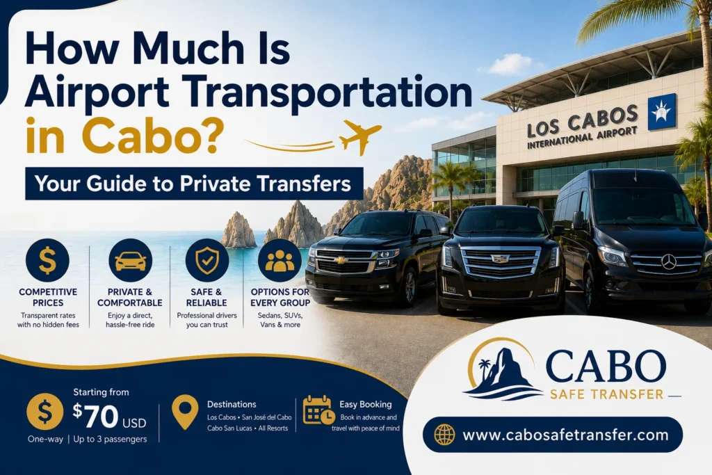 airport transfer_resultado